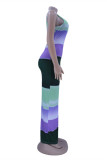 Blue Fashion Sexy Print Basic Half A Turtleneck Sleeveless Dress