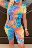 Multicolor Fashion Casual Print Basic O Neck Short Sleeve Two Pieces