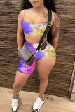 Blue Sexy Print Patchwork Spaghetti Strap Sleeveless Two Pieces
