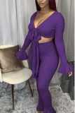 Red Casual Solid V Neck Long Sleeve Flare Sleeve Short Two Pieces
