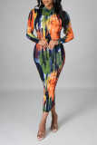 Multicolor Sexy Print Patchwork Zipper Collar Pencil Skirt Dresses