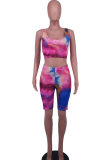 Red Sexy Print Patchwork U Neck Sleeveless Two Pieces