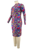 Blue Sexy Plaid Print Basic Turtleneck A Line Plus Size 