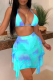 Baby Blue Sexy Print Patchwork Swimwears