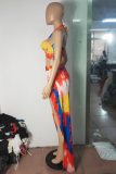Colour Sexy Print Patchwork Halter Sleeveless Two Pieces