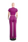 Orange Casual Fashion Slim fit crop top Solid Two Piece Suits Straight