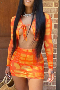 Tangerine Red Sexy Print Patchwork V Neck Long Sleeve Two Pieces