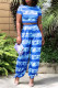 Blue Fashion Casual Basic O Neck Short Sleeve Two Pieces