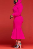 Tibetan Blue Fashion Casual Solid Basic Hooded Collar Long Sleeve Dress Dresses
