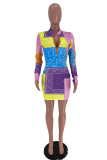Multicolor Fashion Casual Print Basic Zipper Collar Long Sleeve Dresses