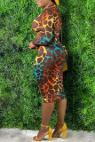 Brown Print V Neck Wrapped Skirt Dresses