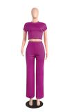 Orange Casual Fashion Slim fit crop top Solid Two Piece Suits Straight