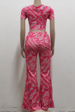 Rose Red Sexy Print Patchwork V Neck Short Sleeve Two Pieces