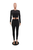 Black Casual Solid Straight Long Sleeve Two Pieces