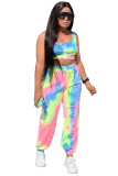 multicolor Fashion Sexy adult Patchwork Print Two Piece Suits Loose Sleeveless Two Pieces