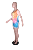 Colour Sexy Print Patchwork V Neck Straight Dresses