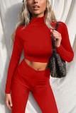 White Fashion Casual Solid Basic Turtleneck Tops