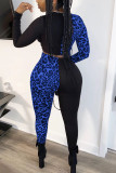 Blue Sexy Patchwork Two Piece Suits Leopard Straight Long Sleeve