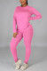 Light Purple Casual Solid Basic O Neck Long Sleeve Two Pieces