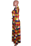 Colour Sexy Plaid Slit Turndown Collar Dresses