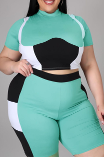 Green Sexy Color Block Patchwork Half A Turtleneck Plus Size Two Pieces