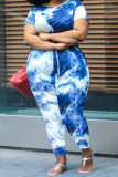 Orange Street O Neck Print Solid Tie Dye Plus Size
