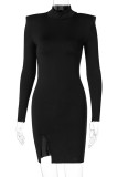 Black Sexy Solid Slit Turtleneck Straight Dresses