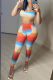 Tangerine Red Sexy Striped Patchwork O Neck Sleeveless Two Pieces