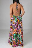 Multicolor Fashion Sexy Print Backless Spaghetti Strap Sleeveless Dress