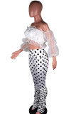 Black venetian Street Dot Mesh perspective Draped Boot Cut Half Sleeve Two Pieces