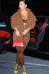 Leopard print Casual Patchwork Leopard Print Two Piece Suits pencil Long Sleeve 