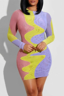 Colour Fashion Casual Print Patchwork O Neck Long Sleeve Dresses