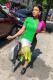 Multi-color Fashion Casual Cap Sleeve Short Sleeves O neck Step Skirt Ankle-Length asymmetrical Mesh p