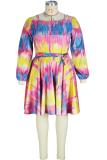Red Casual Print Patchwork O Neck Cake Skirt Plus Size Dresses