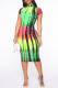 Green Fashion Casual Print Basic Half A Turtleneck Short Sleeve Dress