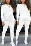 Grey Fashion Casual Solid Zipper Basic O Neck Long Sleeve Two Pieces