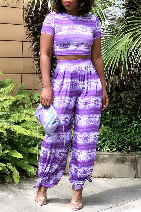 Purple Fashion Casual Basic O Neck Short Sleeve Two Pieces