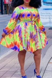 Yellow Fashion Casual Plus Size Print Basic O Neck Long Sleeve Dresses