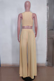 Black Sexy Casual Solid Hollowed Out O Neck Sleeveless Two Pieces