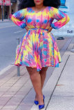 Purple Fashion Casual Plus Size Print Basic O Neck Long Sleeve Dresses