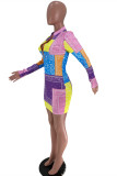 Multicolor Fashion Casual Print Basic Zipper Collar Long Sleeve Dresses