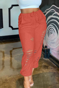 Orange Casual Solid Ripped Regular Bottoms