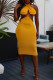 Yellow Fashion Sexy Solid Backless Halter Sleeveless Dress