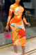 Orange British Style Print Turtleneck A Line Dresses