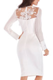 Black Fashion Long Sleeves O neck Slim Dress Knee-Length Patchwork Long Sleeve Dresses