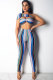 Blue Sexy Fashion Print Patchwork Striped Straight Two-piece Pants Set