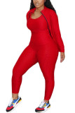 Grey Sexy Active Solid Three-Piece Suits Turndown Collar Long Sleeve Cap Sleeve Regular Two Pieces