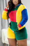 Multicolor Casual Solid Patchwork Long Sleeve Two Pieces