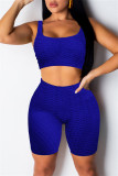 Blue Casual Sportswear Solid Vests U Neck Sleeveless Two Pieces
