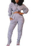 Grey Fashion Sexy adult Ma'am Patchwork Solid Two Piece Suits Straight Long Sleeve Two Pieces